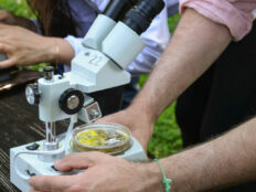 Why Choose Vocational