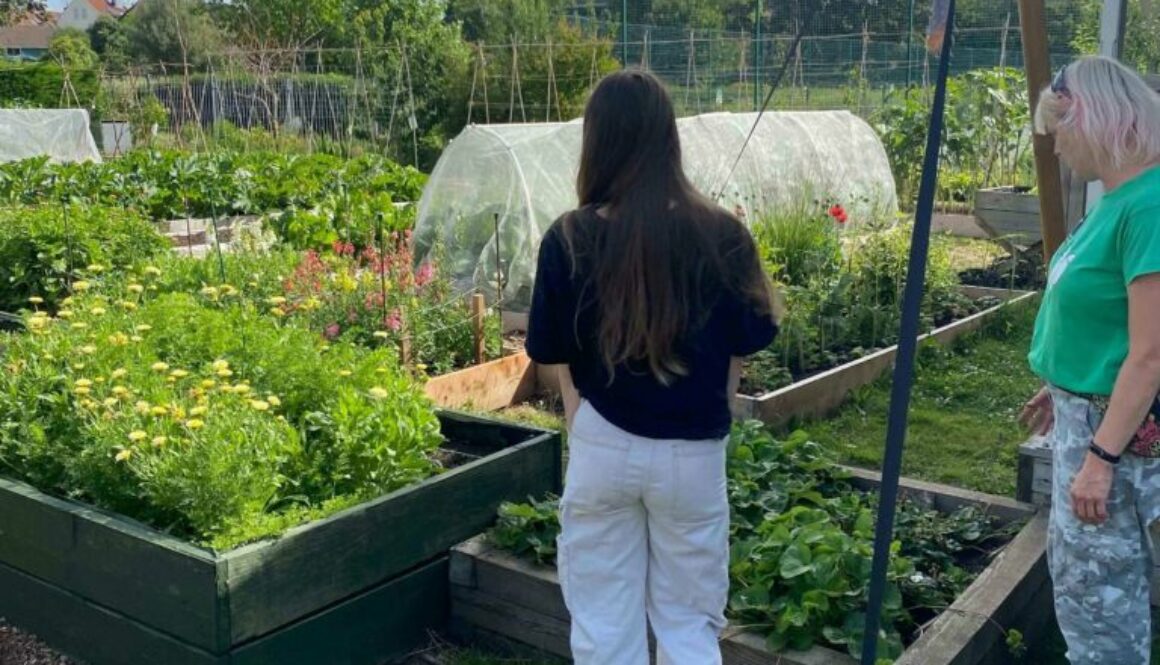 Students working at Redpatch Community Garden