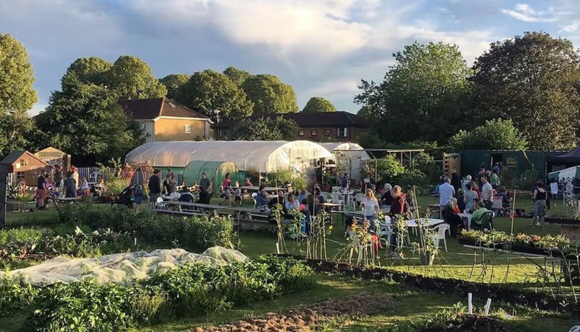 Screenshot 2026-01-16 095246