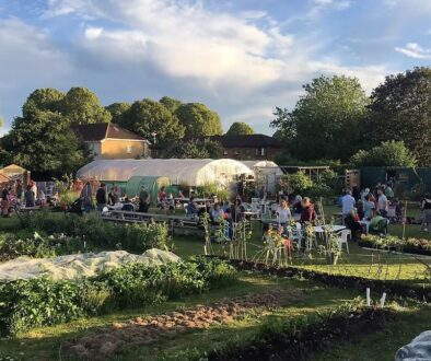 Screenshot 2026-01-16 095246